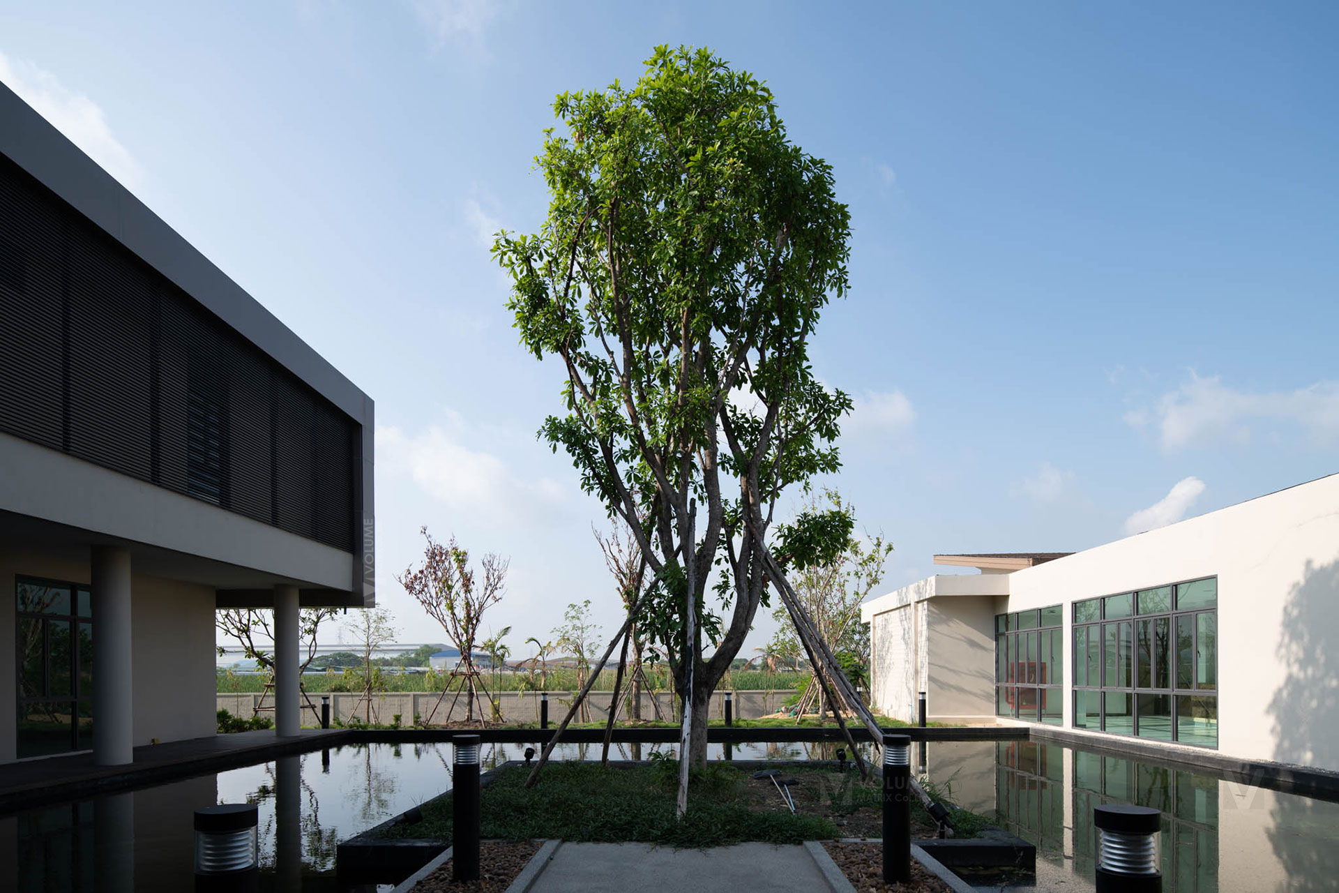 Volumematrix Project Hospice and Palliative Care Thammasat University